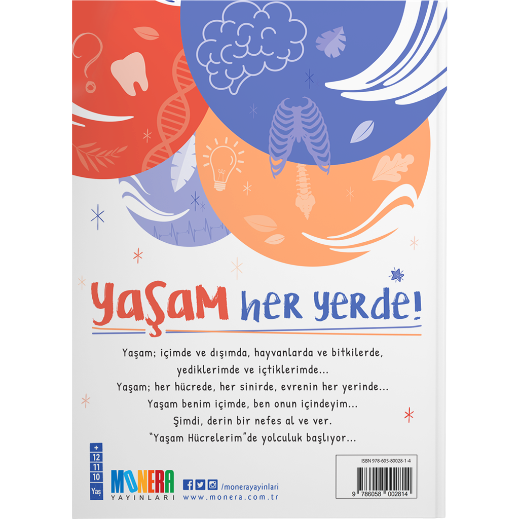 Yaşam Hücrelerim — içeriden